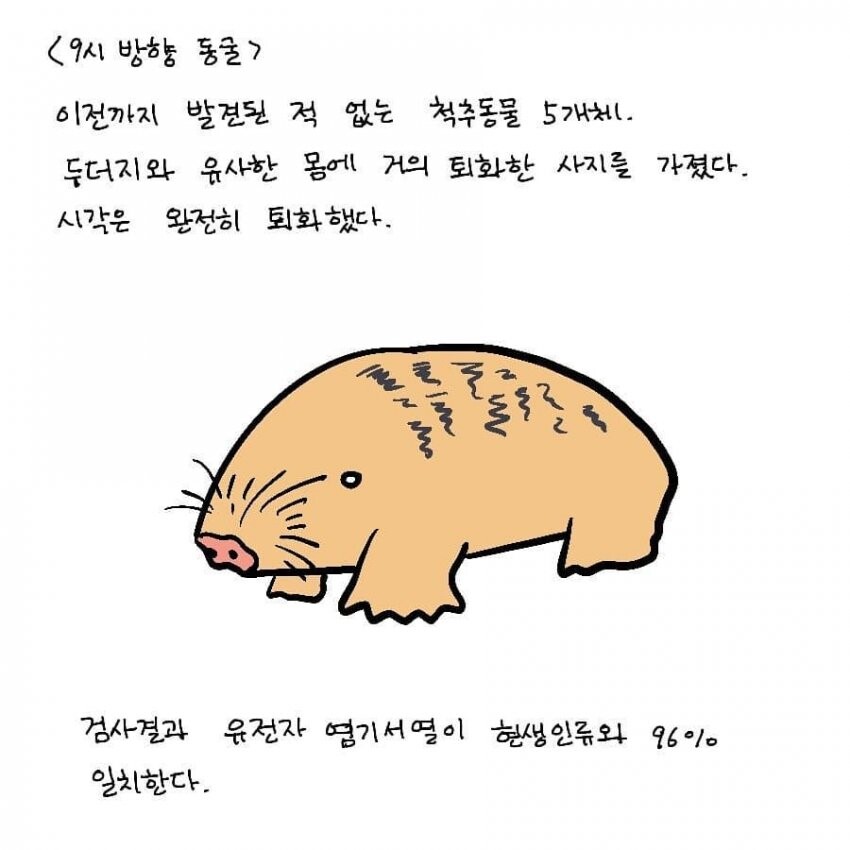 SCP) SCP-144-KO 인류학 섬 manhwa_9.jpg