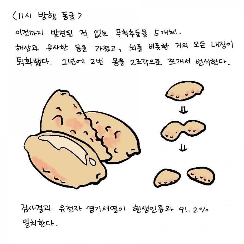 SCP) SCP-144-KO 인류학 섬 manhwa_10.jpg