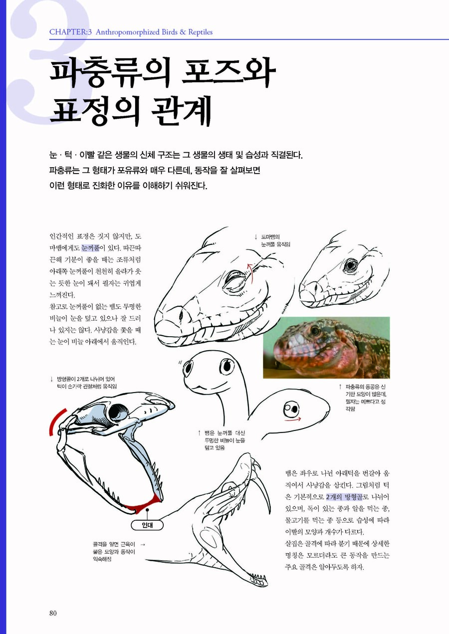 [수인 이종족 캐릭터 디자인]_16.jpg