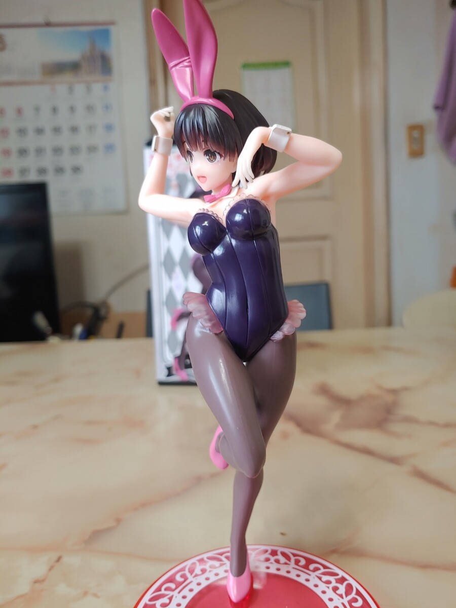 카토 피규어 (타이토 바니)_4.jpg