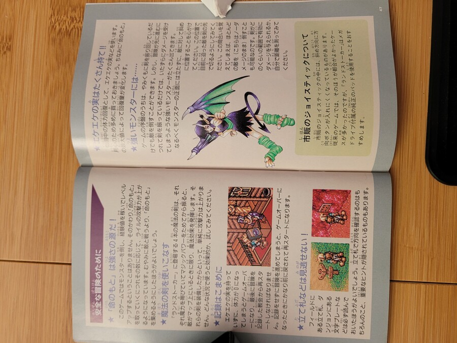 랜드스토커-황제의 재보-_18.jpg