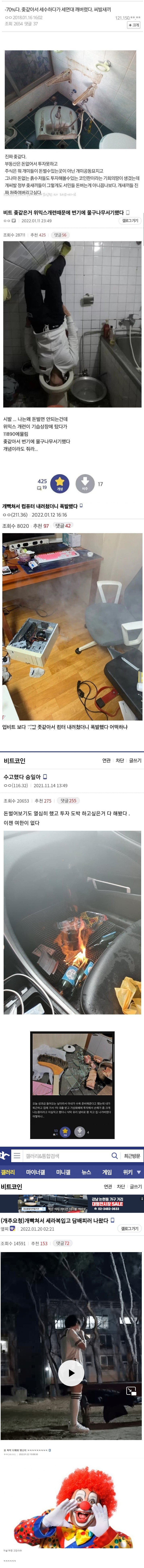 광기의 비트코인갤 모음_1.jpg