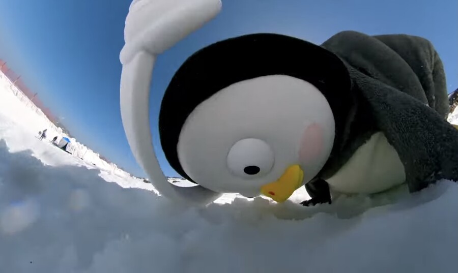 펭수)스위스간 펭수 근황_3.jpeg