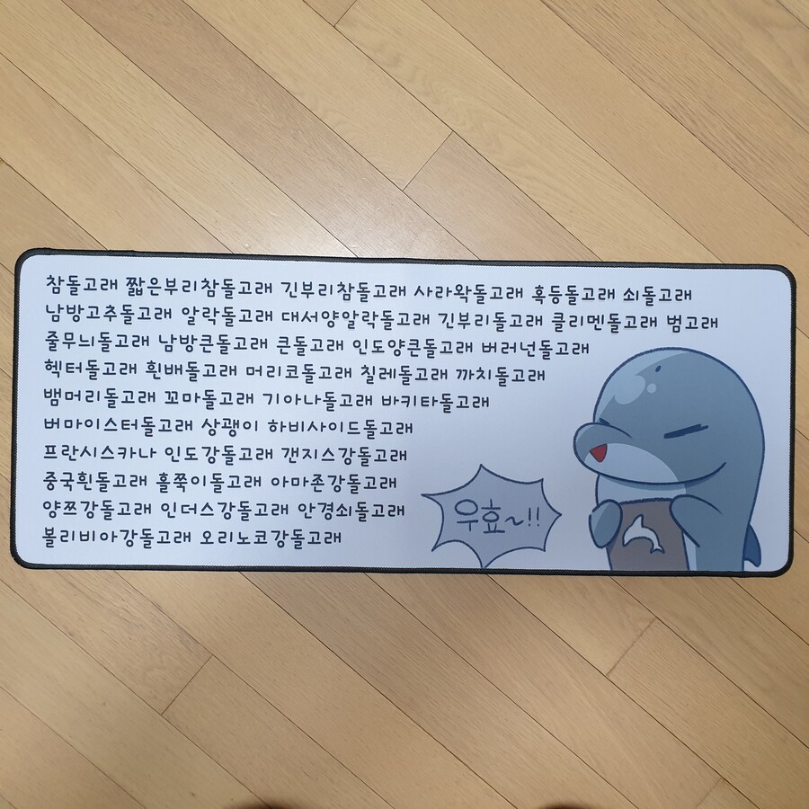 돌고래 장패드 만듦 | 유머 게시판 | RULIWEB 돌고래 장패드 만듦 | 유머 게시판 | Ruliweb