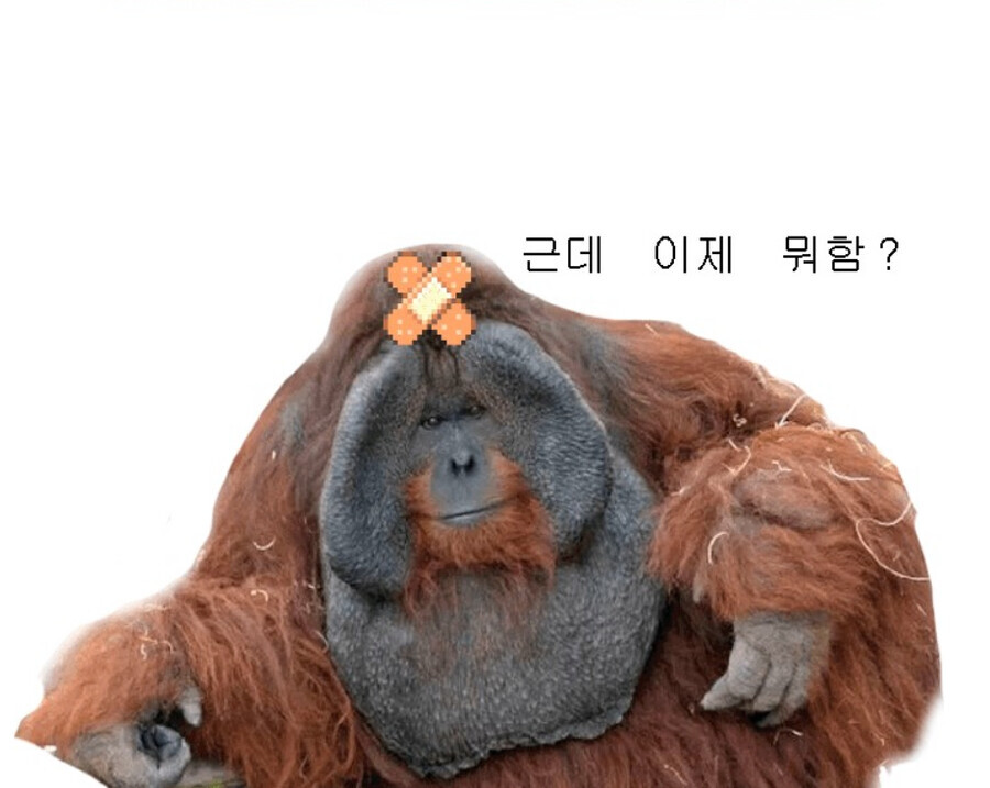 스텔라소라) 이게임 최대 단점_1.png