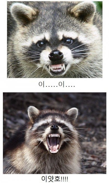 블루아카) "꼴려져라 얍!"_9.jpg