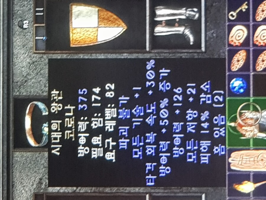 플스레더)함성 삥참 안다 스캐럽 등_6.jpg