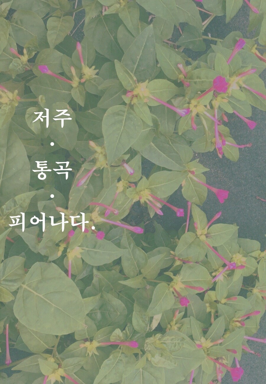 유게를 충격으로 몰아넣었던 동인 만와.jpg_1.jpeg