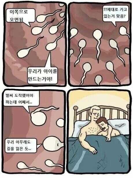 [ㅎㅂㅈㅇ!]정자가 길찾는만화_1.jpg