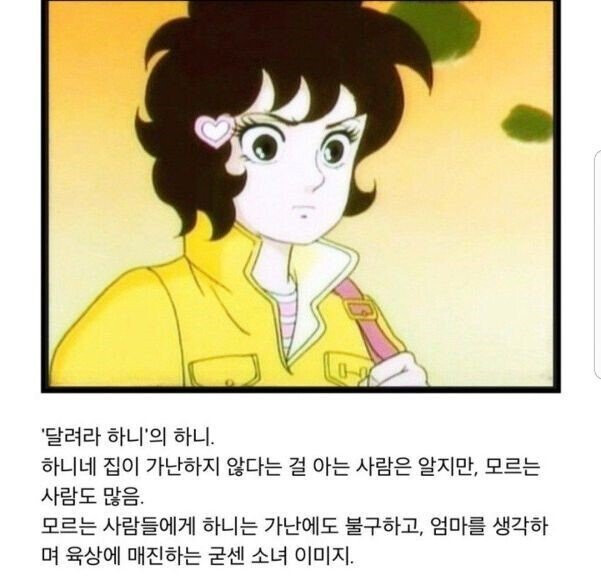 달려라 하니)의 충격적인 진실.jpg_1.png