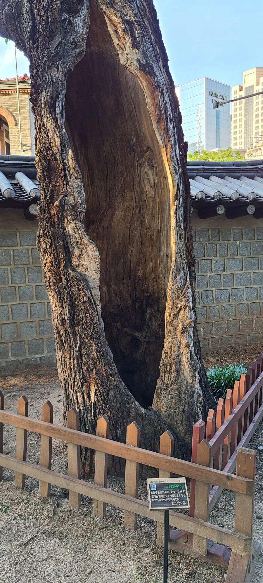 (스압주의)부산촌놈의 서울 2박3일 여행_101.jpg