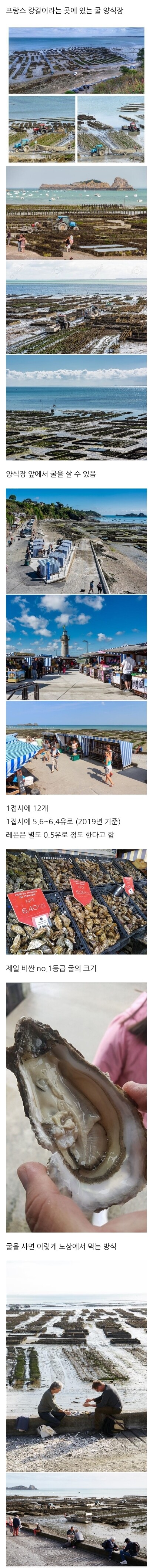 프랑스에 있는 굴 양식장_1.jpg
