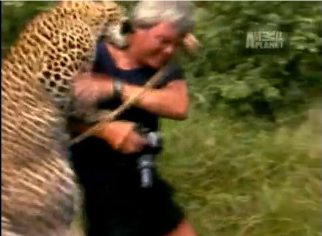 반려동물 난이도 (맹수 .VER)_7.png