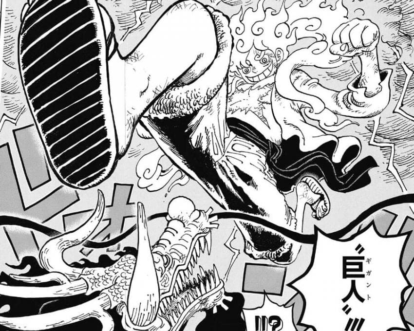 원피스)급조 논란에도 니카 변신이 팬들에게 환영받는 이유_4.jpg