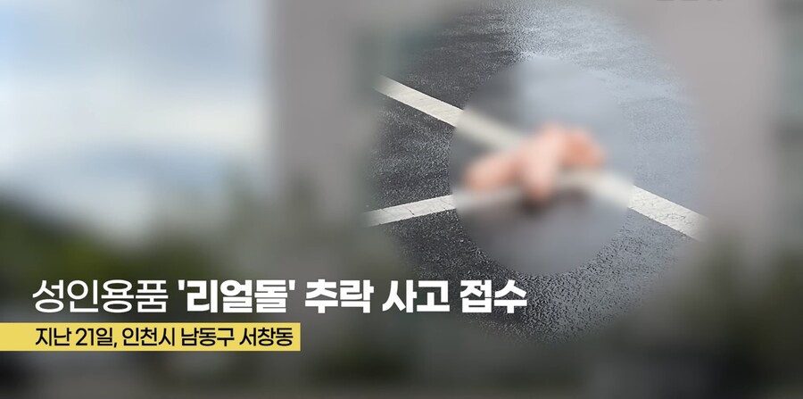 아파트에서 리얼돌 떨어뜨린 사람 누구냐?_5.jpeg