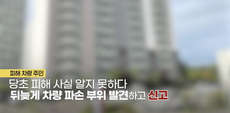 아파트에서 리얼돌 떨어뜨린 사람 누구냐?_7.jpeg