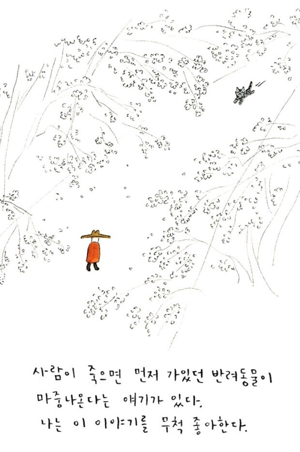 사람이 죽으면 먼저 가있던 가 마중나온다는 얘기가 있다