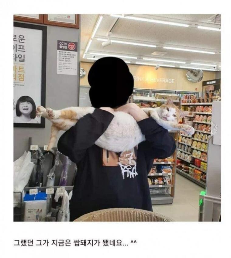 베스트에 싱글벙글 국제결혼의 최후 걍주작임_3.jpg