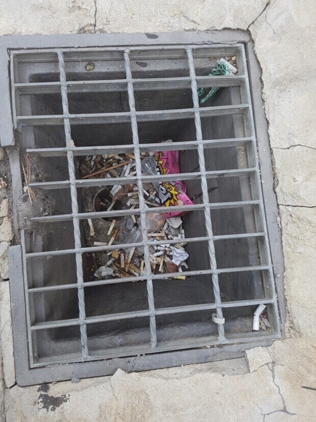 혈압주의) 평소 배수구 상황_3.jpg