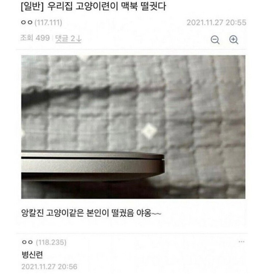 우리집 고양이가 맥북 떨굼.jpg_1.jpeg