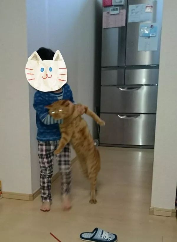 우리집 고양이가 맥북 떨굼.jpg_2.jpeg