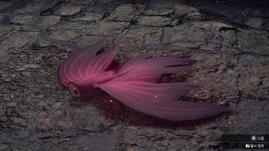 블루아카 스포) 떡상한 베아트리체._1.jpg