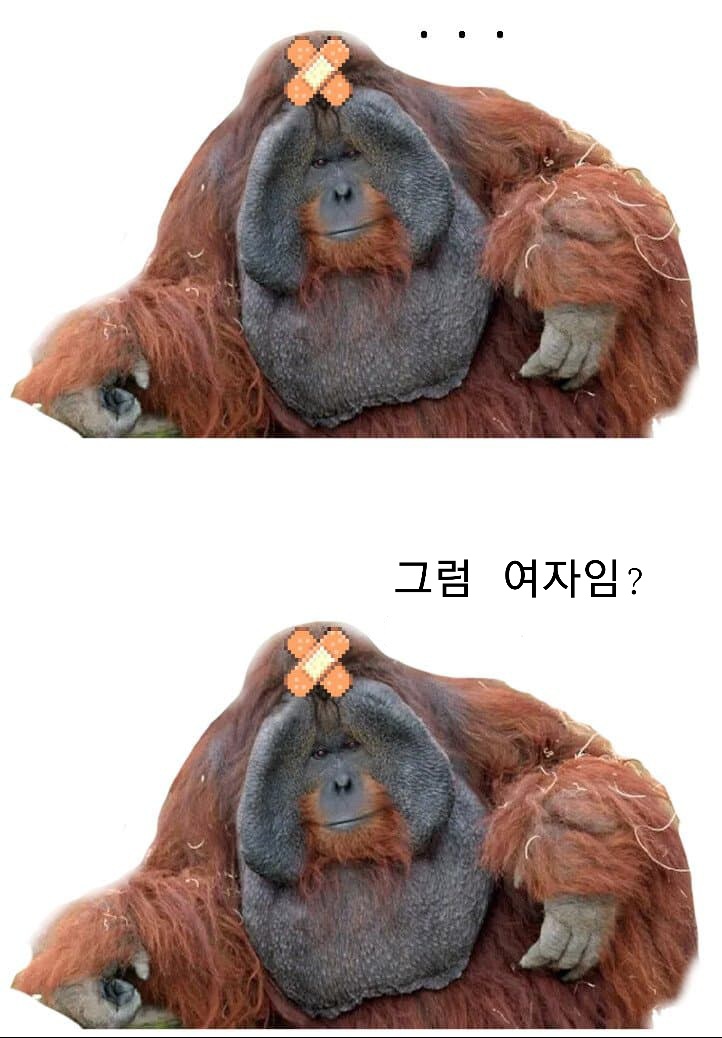 길티기어) 브리짓 요약_5.jpg