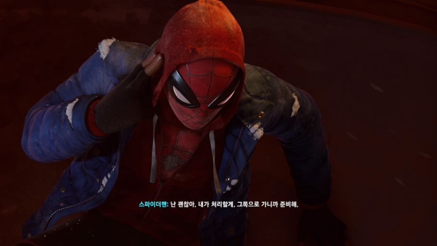Marvel's Spider-Man_ Miles Morales_20220811214958.jpg