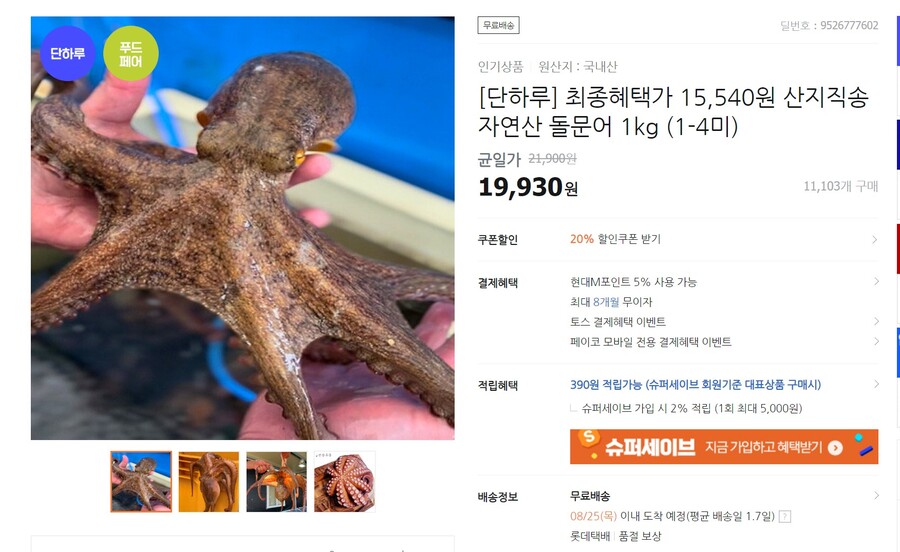 [티몬] 산지직송 자연산 돌문어 1kg (1-4미) 15,540원_1.jpg