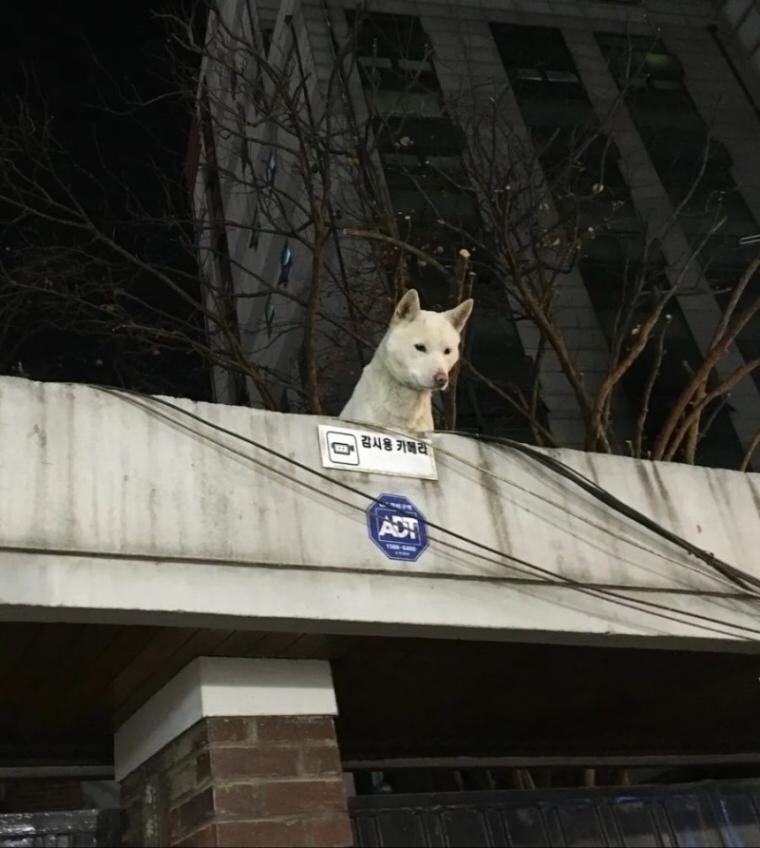 현존 최고 사양 CCTV_1.jpg