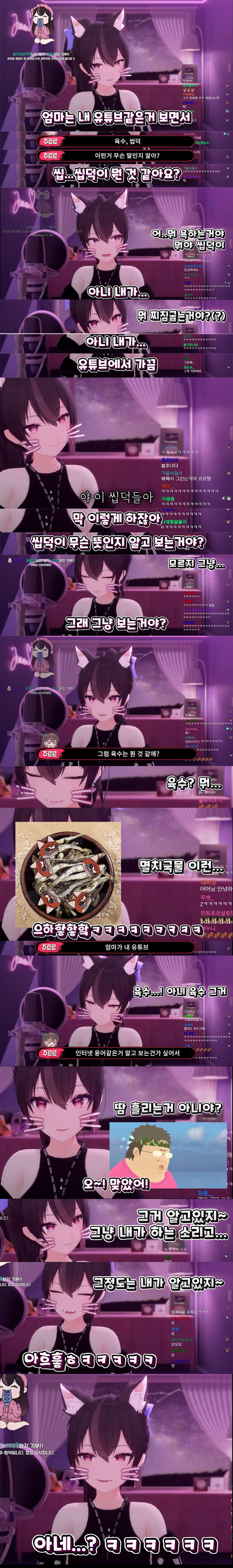 버튜버) 육수, 씹덕 이런거 무슨말인지 알아?_1.jpg
