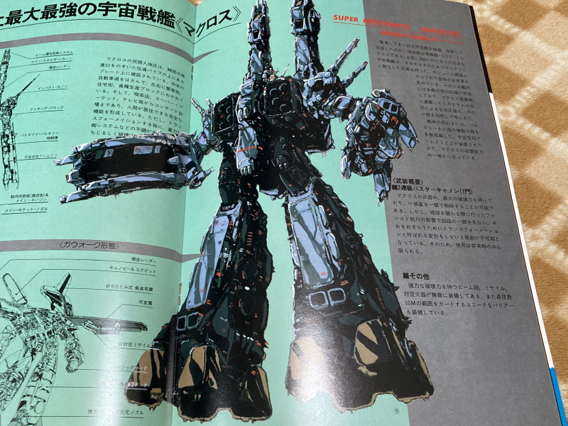 마크로스 "사랑, 기억하고 있습니까?" 음악편(LP) & 레트로 아이템~_49.jpg