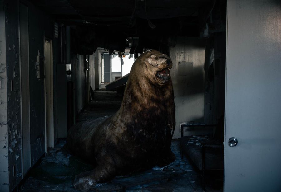 [약간 혐오] 일본, 폐건물 내의 박제들_1.jpg