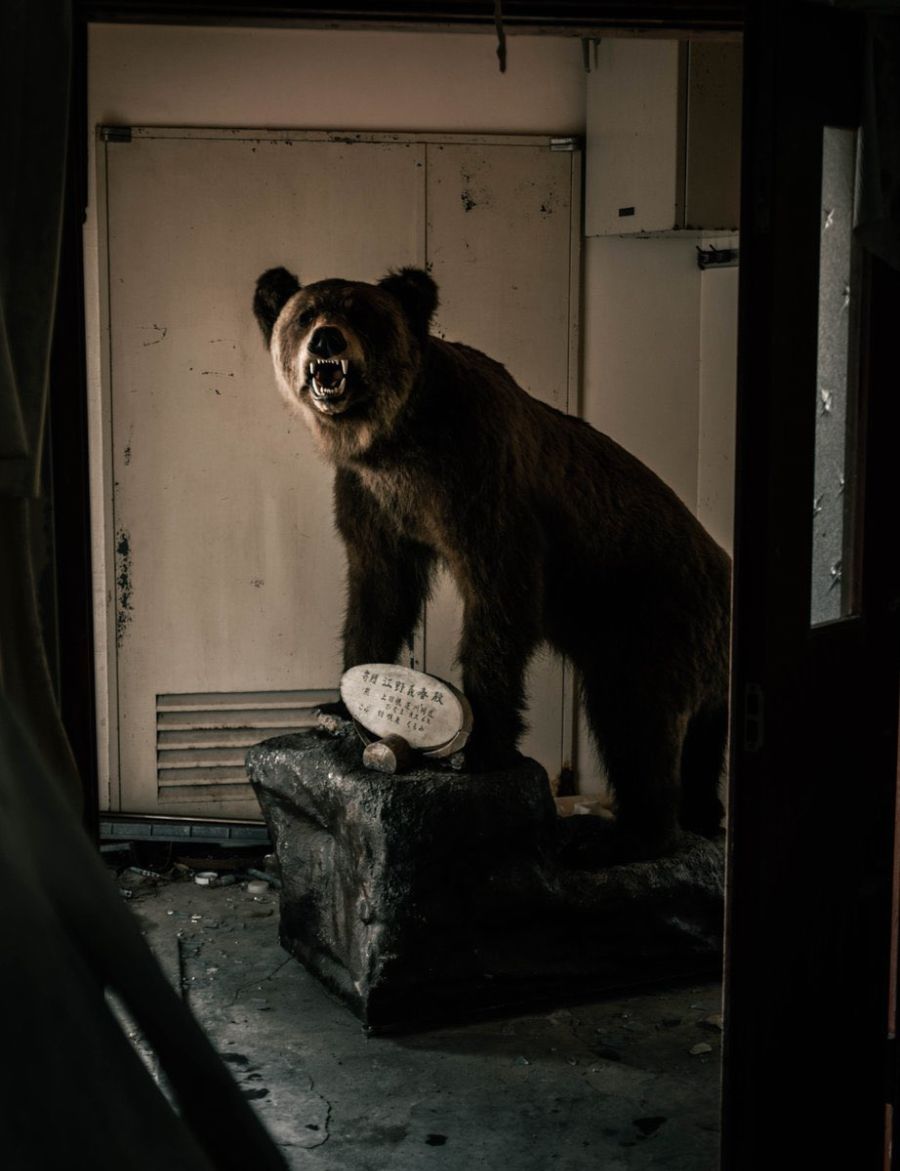 [약간 혐오] 일본, 폐건물 내의 박제들_2.jpg