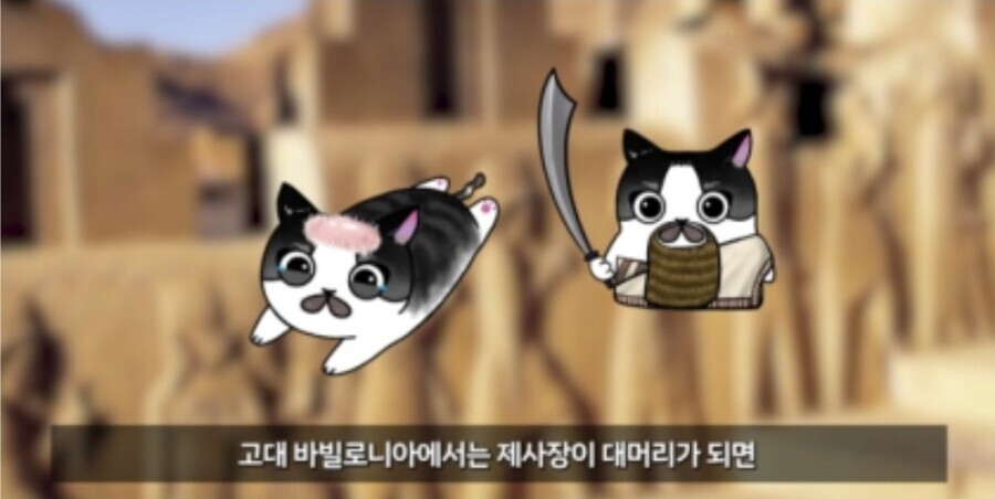 탈모) 신의 저주가 맞는거 같긴한데_1.jpeg