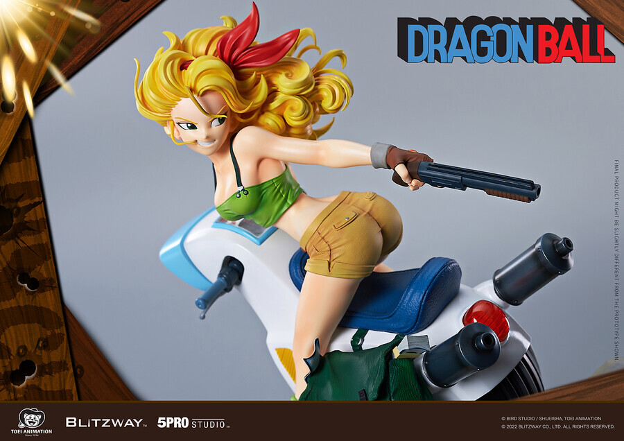 [예판] 드래곤볼 런치 / 488,900원_20.jpg