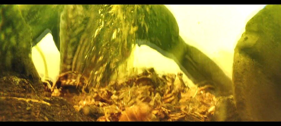 감독 오피셜로 한국 영화보고 만든 헐리웃 빌런.jpg_8.jpg