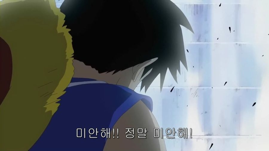 원피스) 하찌가 욕을 먹지 않는 이유_21.jpg