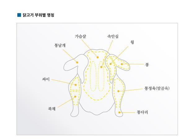 닭봉이 날개였구나