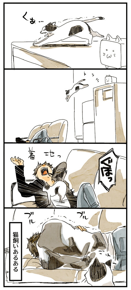 저지아이즈) 고양이 만화_1.jpg