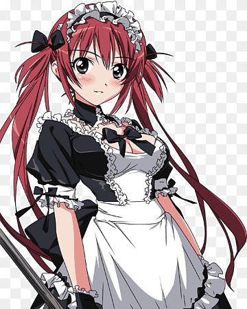 png-transparent-queen-s-blade-perfect-visual-collection-anime-queen-s-gate-クイーンズブレイド-アンリミテッド-anime-thumbnail.png