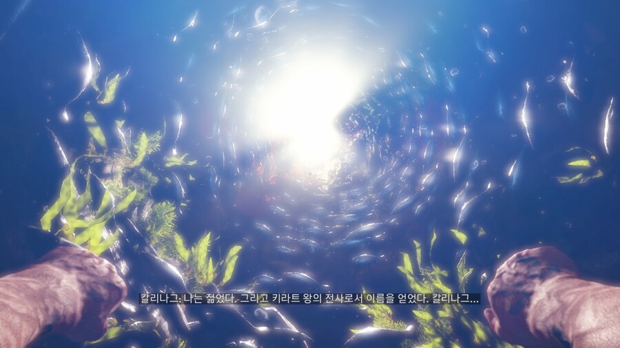 파 크라이 4_59.jpg