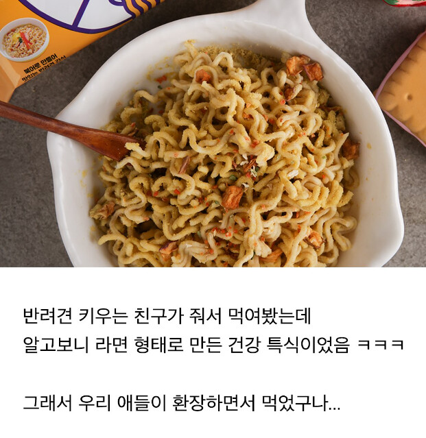 댕댕이들 전용 라면_3.png
