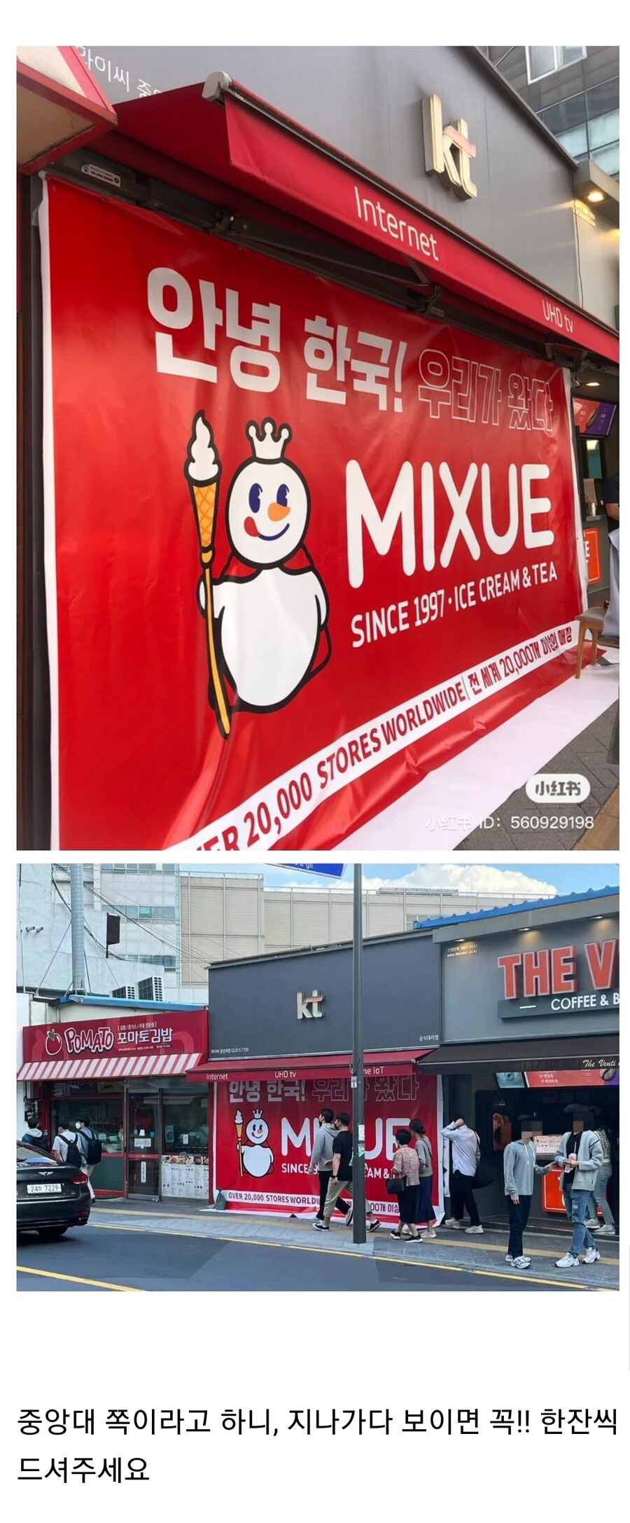 중국 가성비 밀크티 프차 미쉐빙청 한국 진출_1.jpg