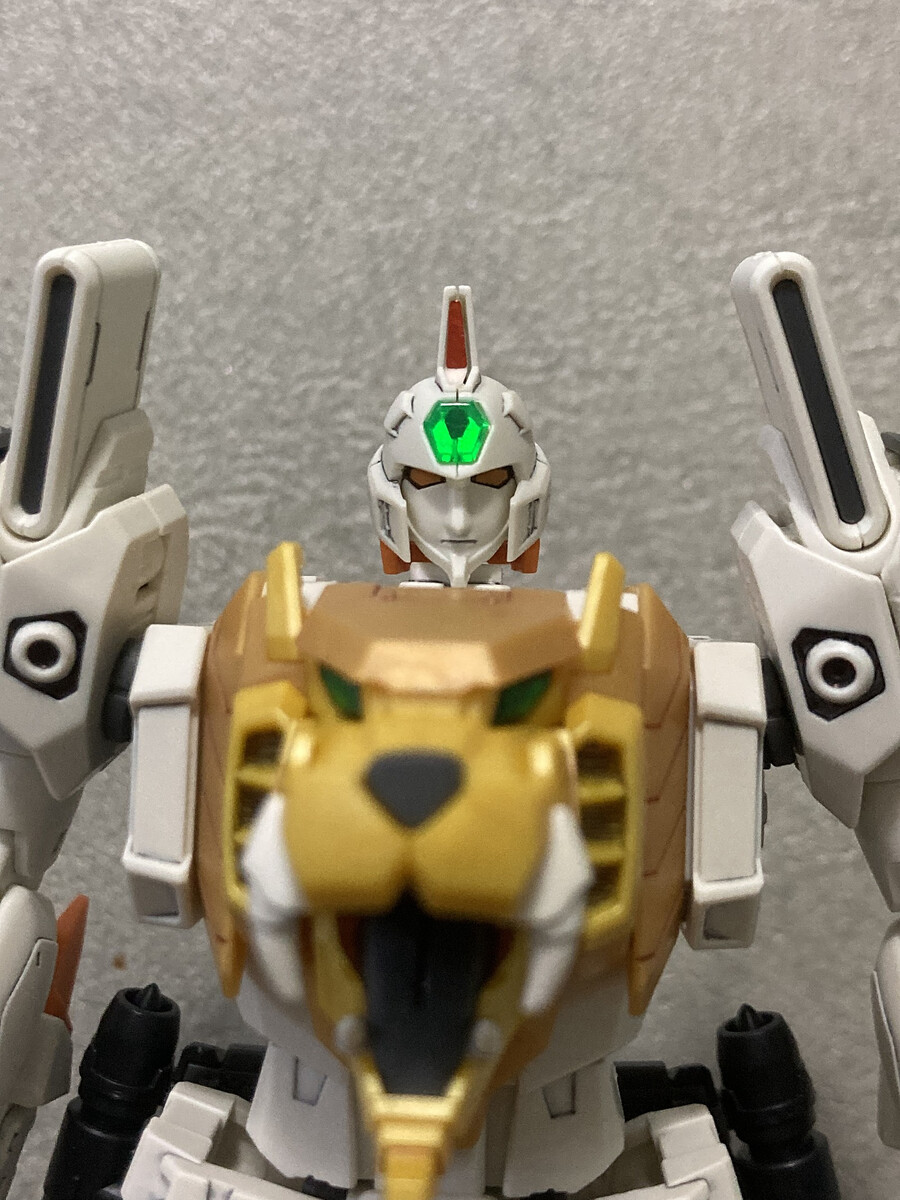 RG 가오가이가 소개 및 변형 팁_13.png