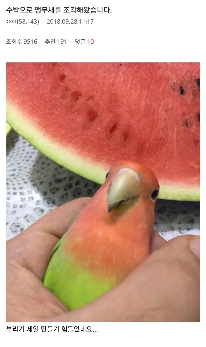 허언증 갤러리 글 모음.jpg_4.jpeg