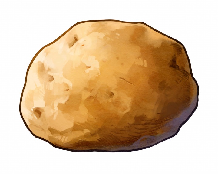 [포맷변환]Lumpotato.jpg