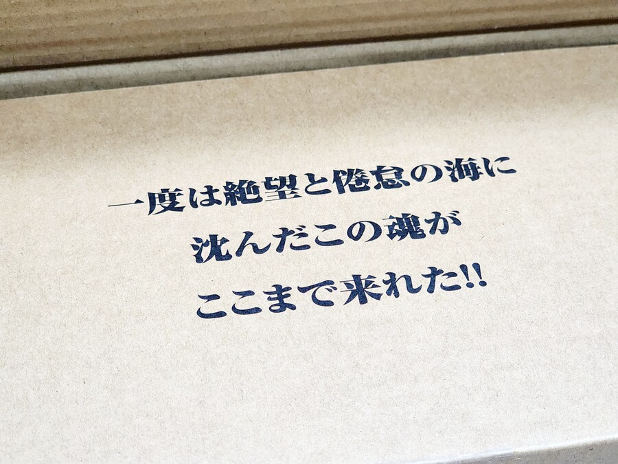 [CCS TOYS] 라젠간 #이 순간을 기다렸다!!_6.jpg