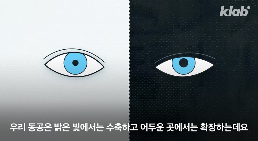 다크 모드 쓰면 눈 건강이 안 좋아진다?.jpg_18.jpeg