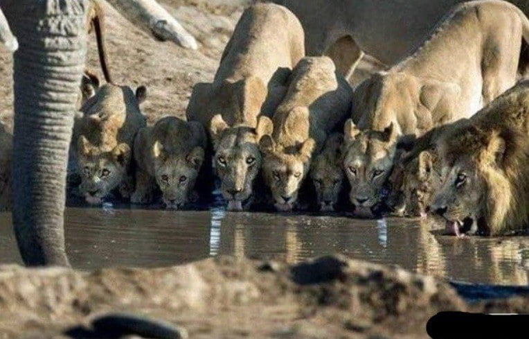 [슈로대30]에서 기억나는 크로스오버는_1.jpg